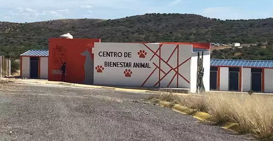 CERCA DE CONCLUIR EL CENTRO DE BIENESTAR ANIMAL